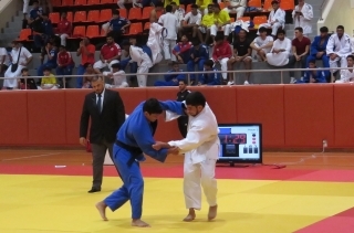 Judo Players